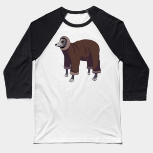 italian greyhound in sweater Baseball T-Shirt